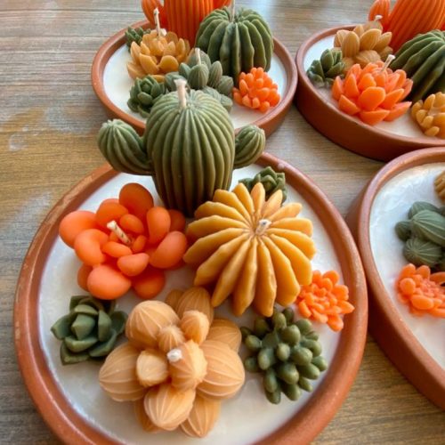 Terrarios de otoño 🍁🍂🧡